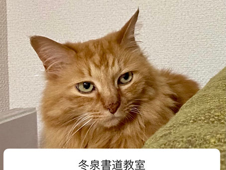 2025.9,10月お知らせ