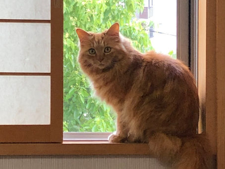 冬泉書道教室のマスコット