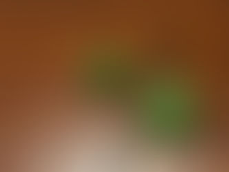 一般部 - 昇級試験お手本