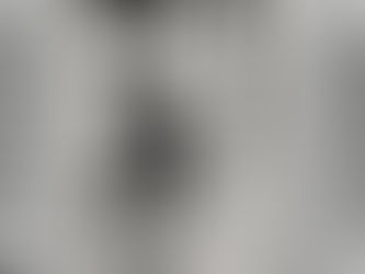 第54回全日本書道芸術展