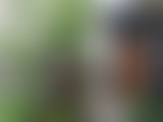 新たなステージへ