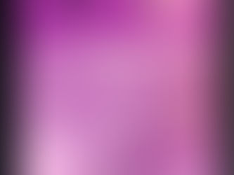 競書誌について