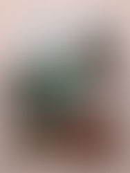 中央フィルハーモニー