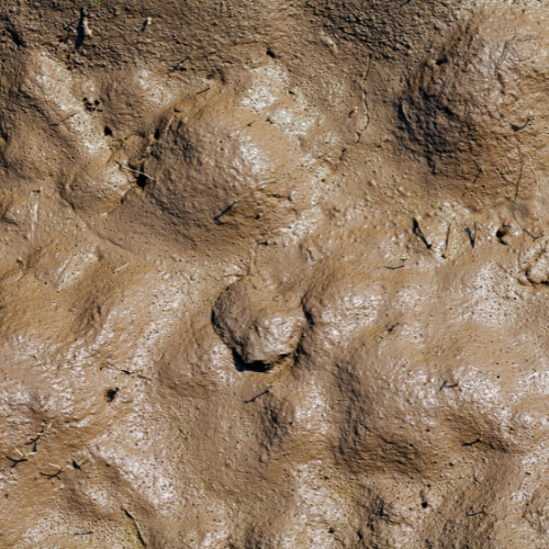 Spices & Agri products (7).png