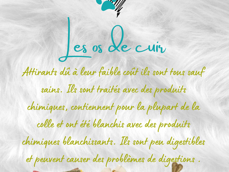 Trouvez l'os parfait pour votre poilu