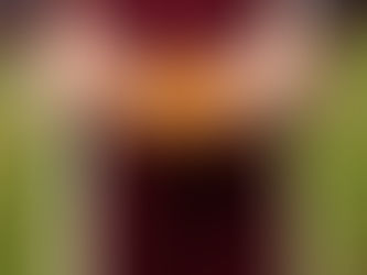 My Good Twin is Having a Baby!!