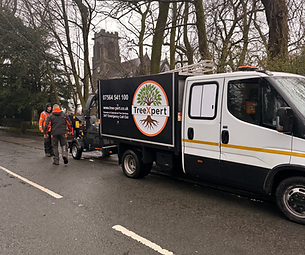 Tree surgeon in Chorley