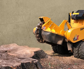 stump grinding.jpg