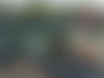 LA DESTRUCCIÓN DE LA COMPETENCIA