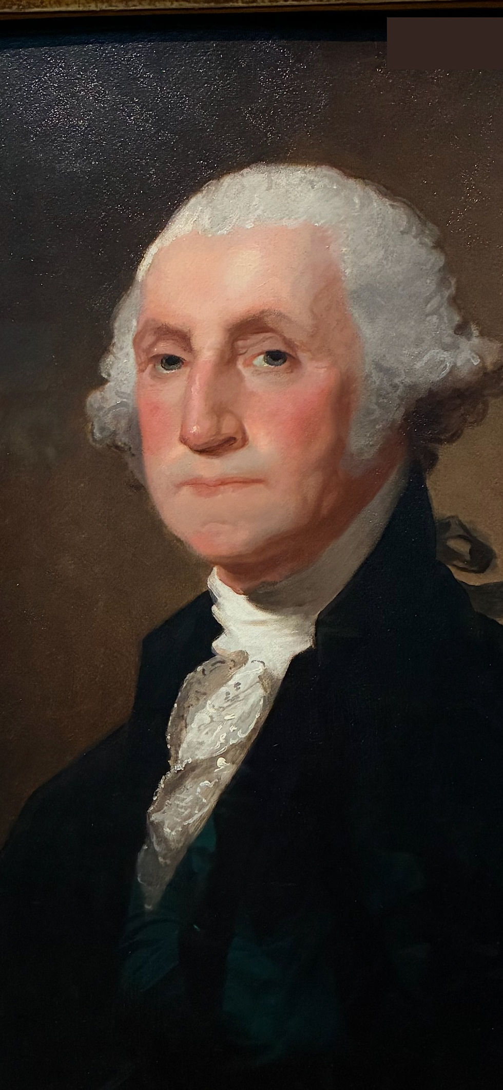 washington_cleaned.jpeg