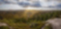 CapeClear-Margaree_edited.jpg