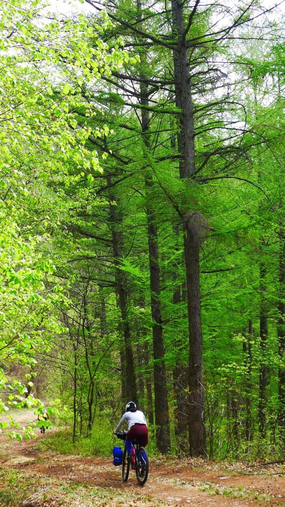 봄의 향연 (4/23)