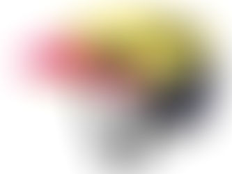 Smith Korea provides helmets and sports goggles.