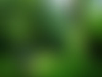 춘천 당림리코스/Dangrimri Course