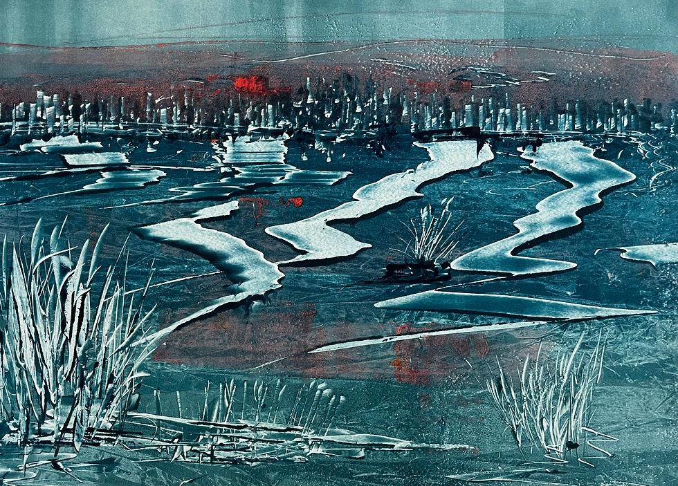 Ice fields of Boras