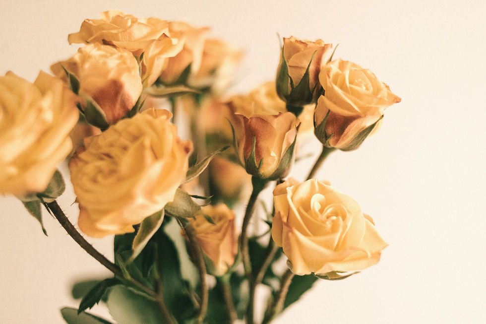 Yellow%20Roses_edited.jpg