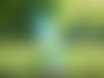 Revolutionizing Neurologic Rehabilitation with SoundSteps™ Mobile