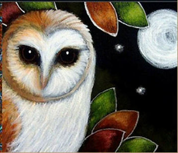 owl.jpg
