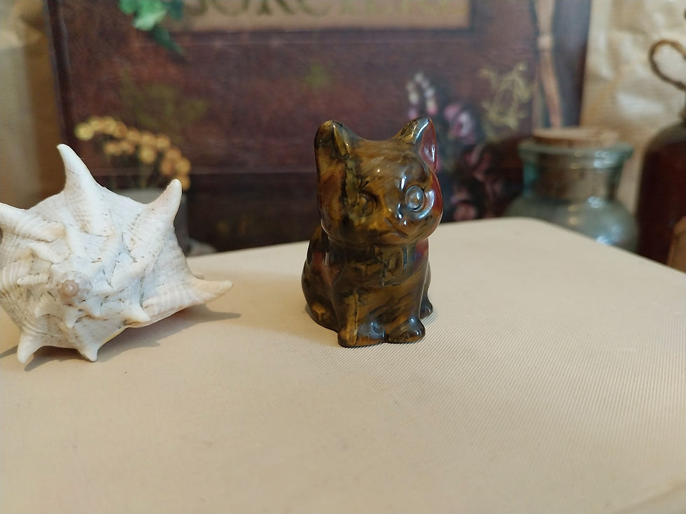 Miniature : Animal totem 🐬