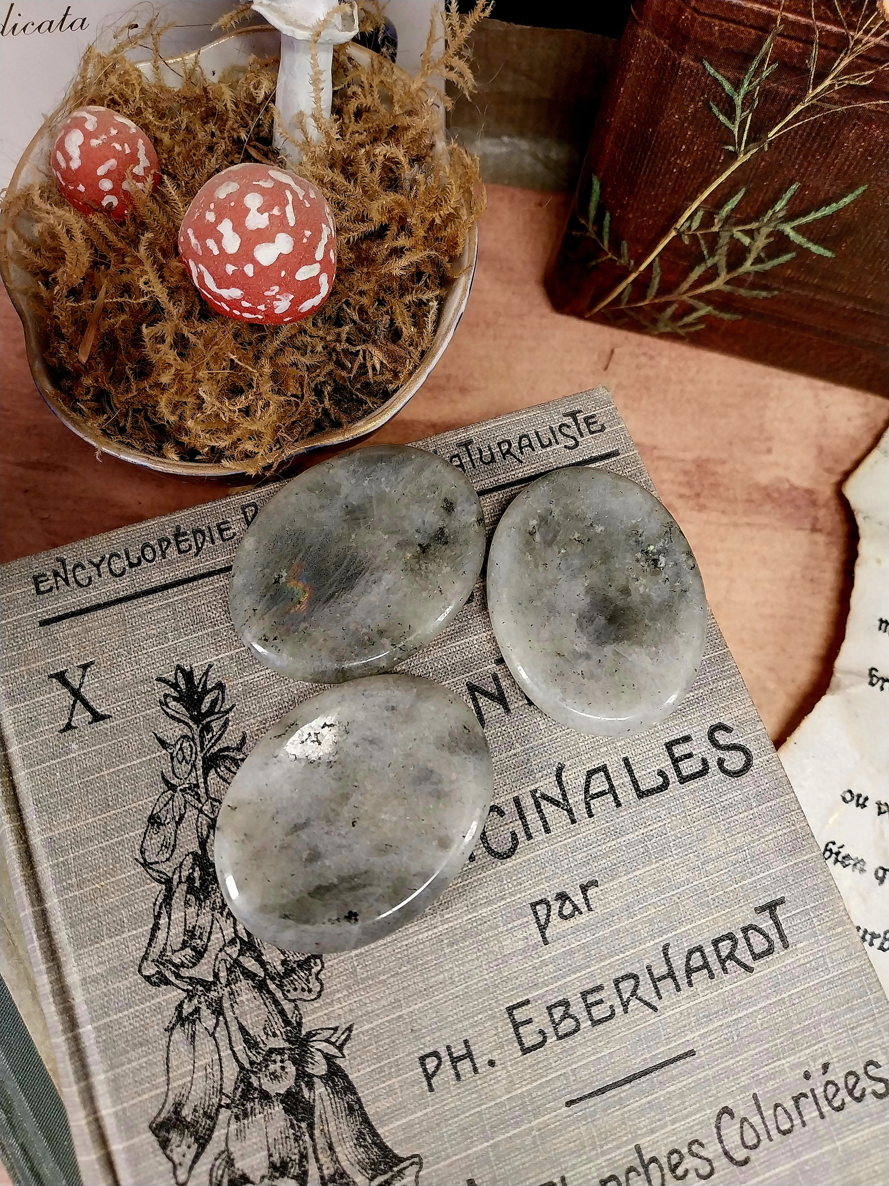 Worry stone - labradorite đ©¶