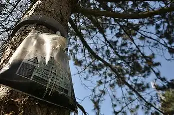 Pose d'un eco pieges sur la cotiere a montluel