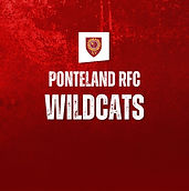 WILDCATS (U12-U16 GIRLS)