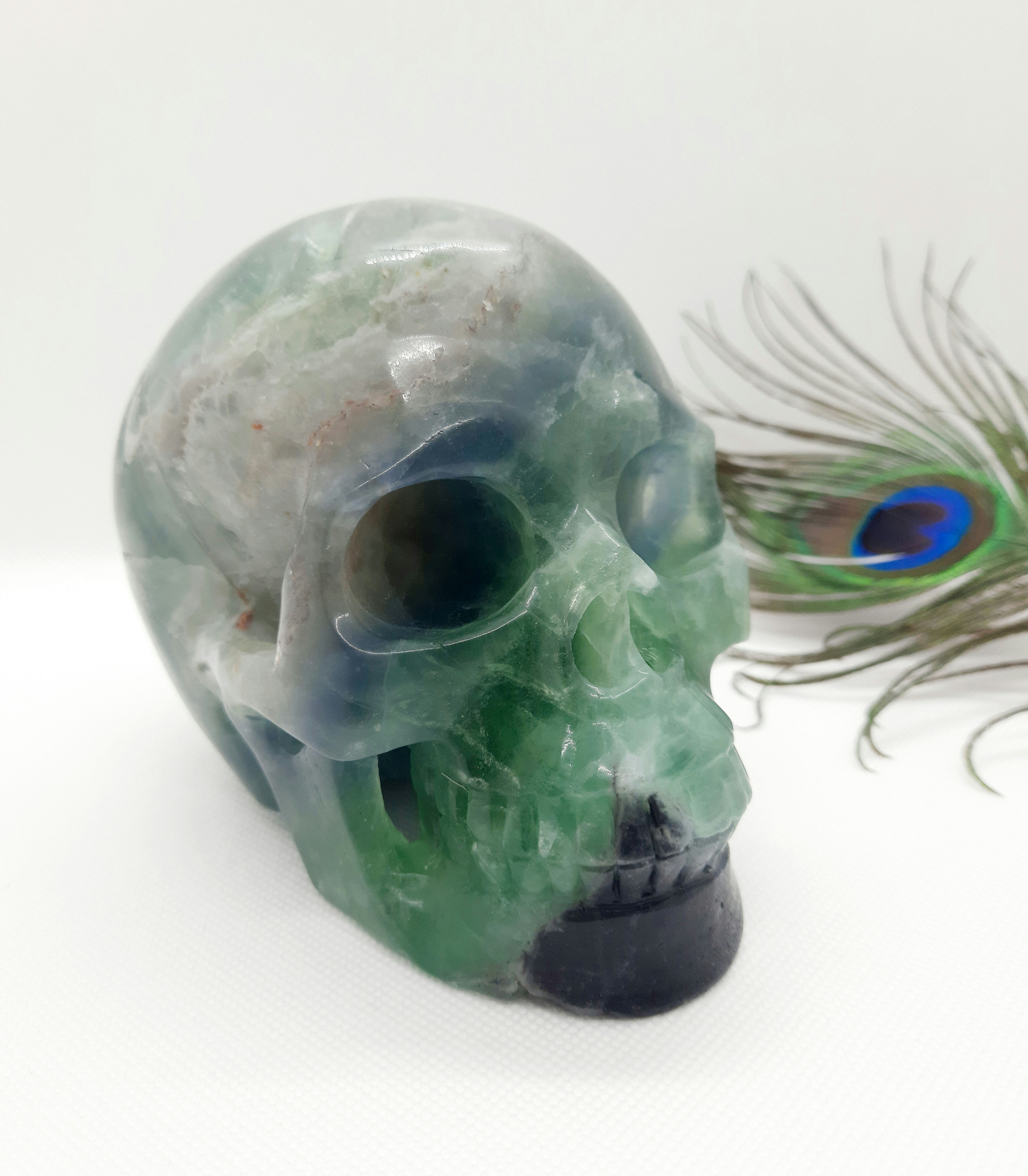 Crâne de 1,6 kgs en Fluorite