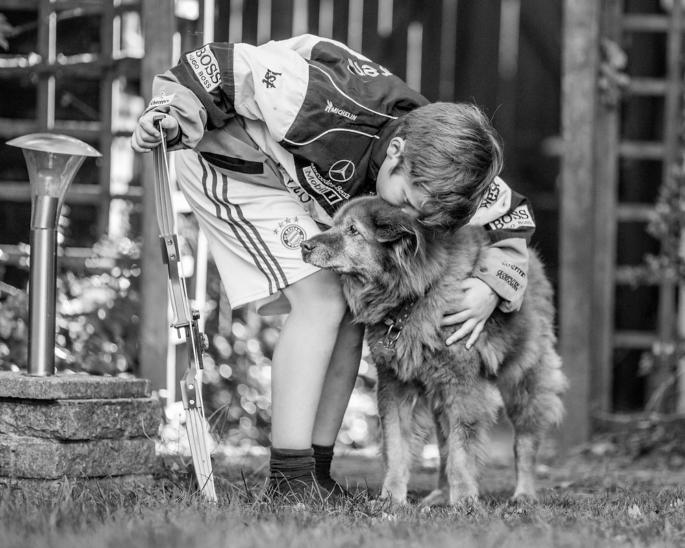 Dog photography in London. Suzy the rescue dog.