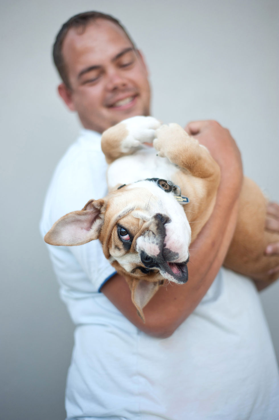 Dog photography in Cape Town. Hugo the British Bulldog playing with his owner