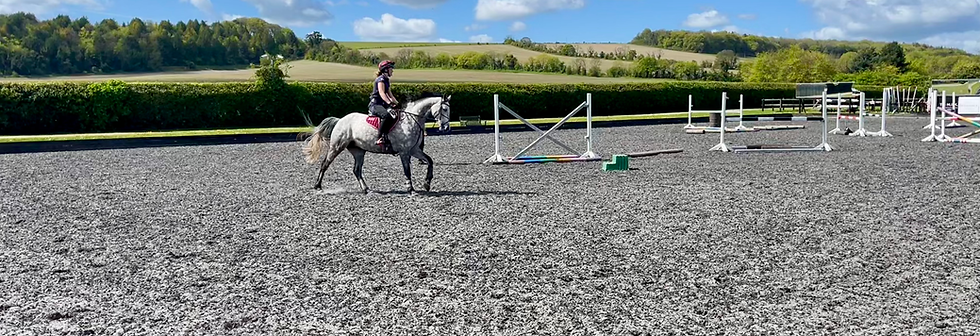 Arena at Rosegarth