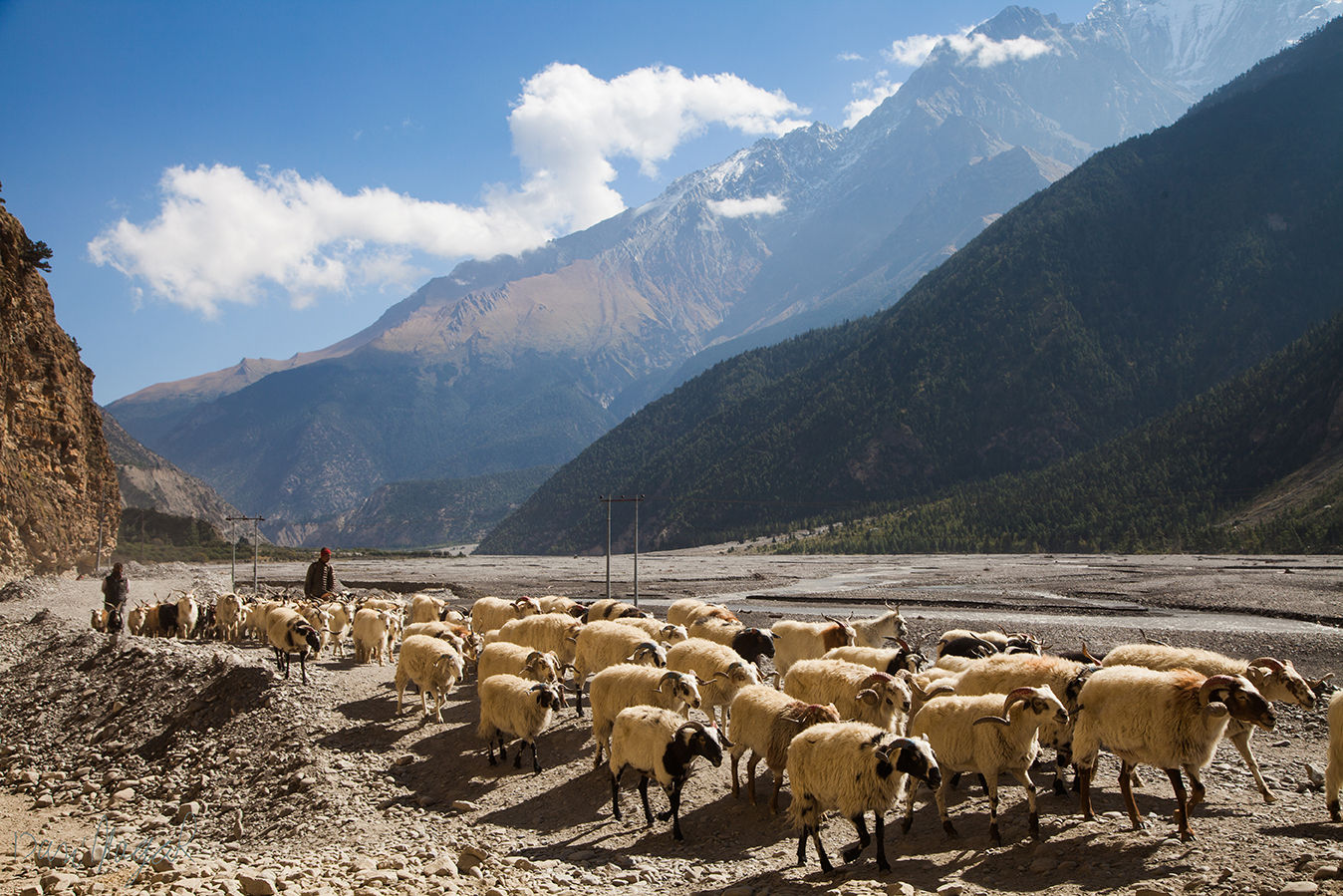 טבע ונוף עולמי  14