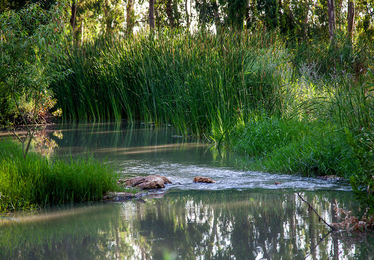 נוף ישראלי  -13