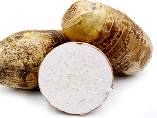 Malanga Coco