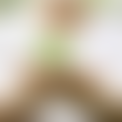 Aprendendo na prática: como funciona a educação holÃstica no Ecossistema de Dakila?