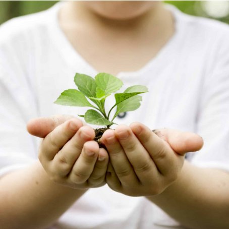 Aprendendo na prática: como funciona a educação holÃstica no Ecossistema de Dakila?