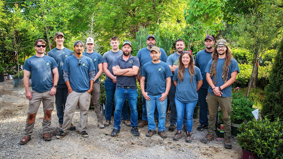 Full Landscaping at Moore & Moore