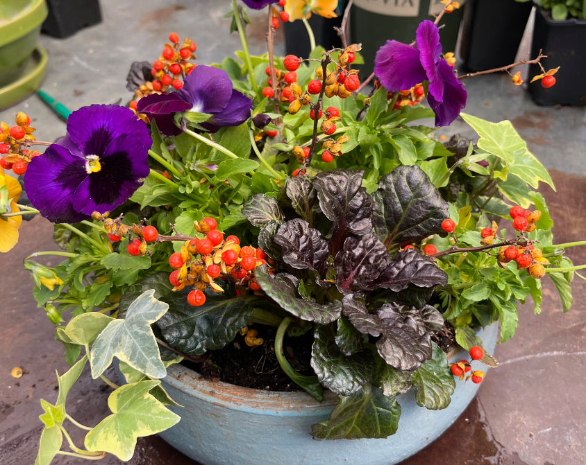 Autumn Pot-up Class - afternoon