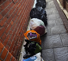 bags lined up ready for the charity shop