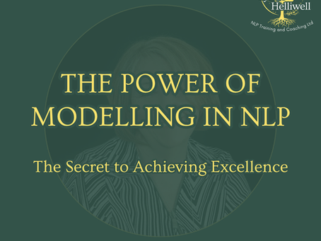 What is Modelling Excellence and how can you do this too?
