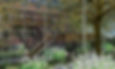 SW_View03_Wintergarden