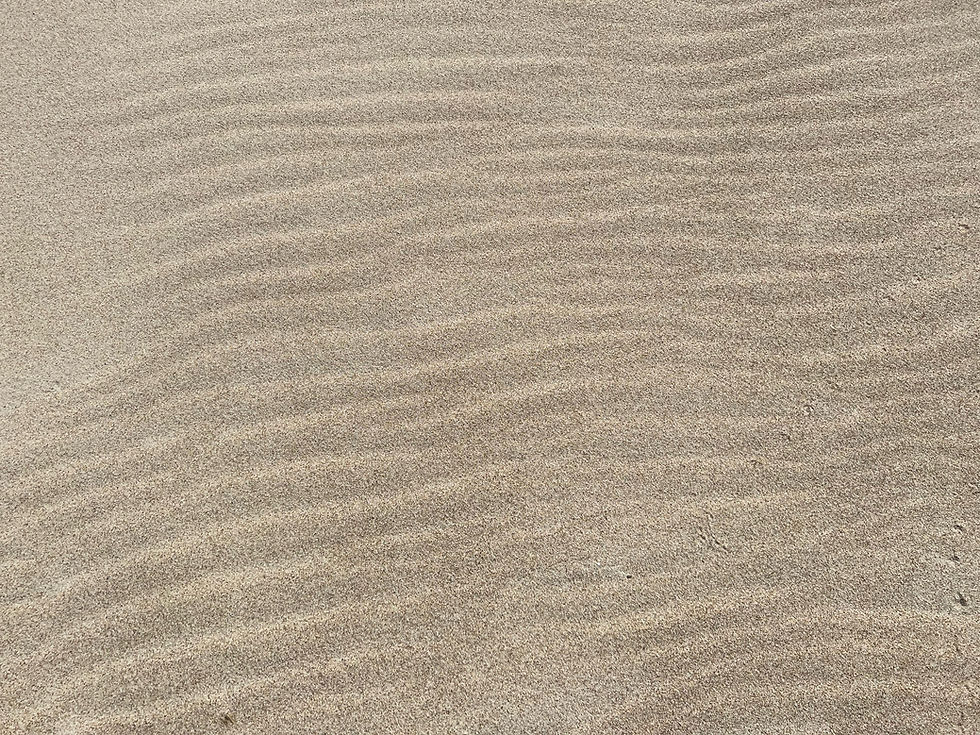 APIE GYVENIMO PASLAPTĮ