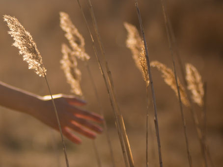 BIODINAMIKA OSTEOPATIJOJE