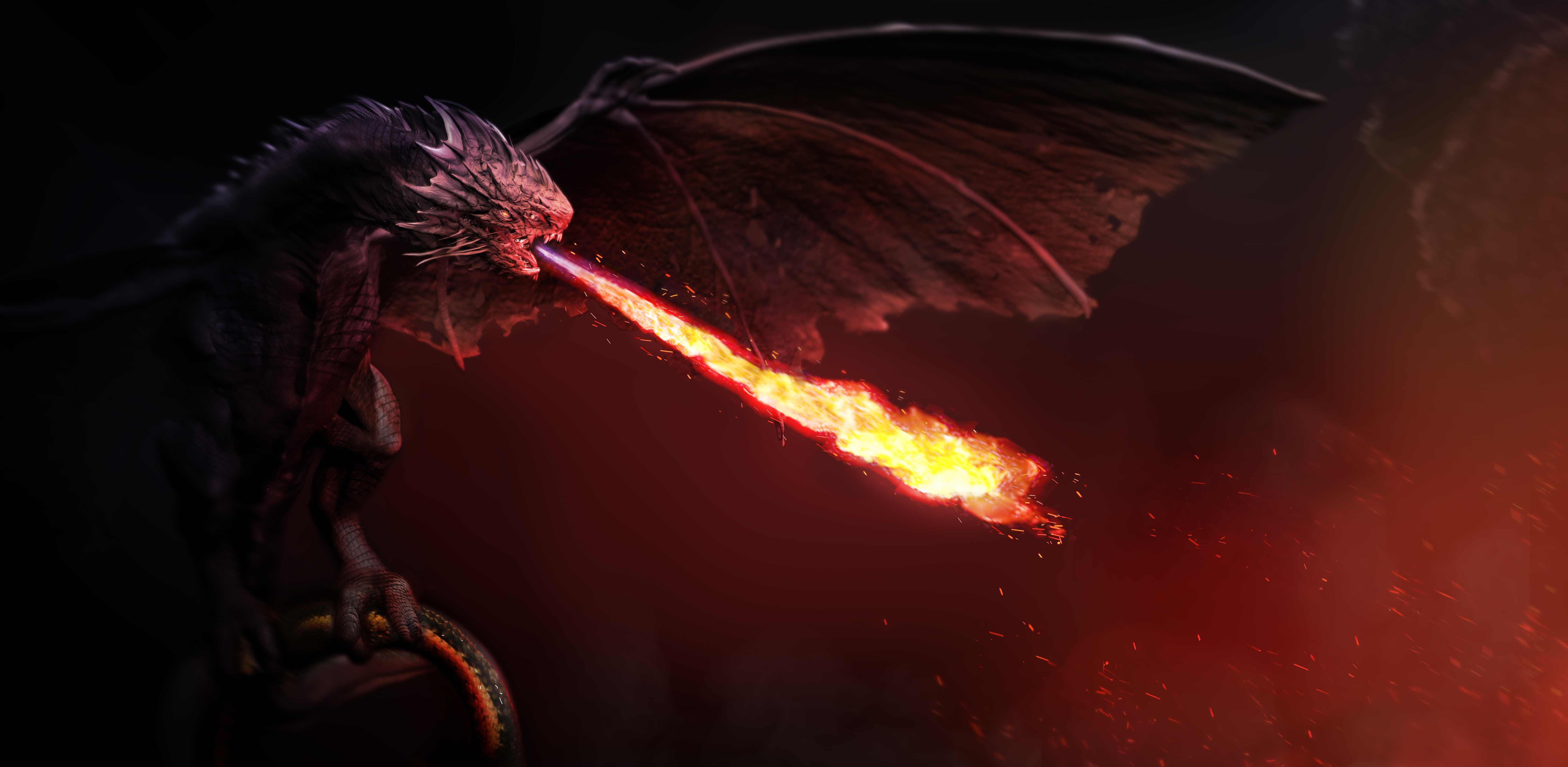 dragon5