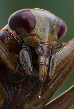 image1 (3)