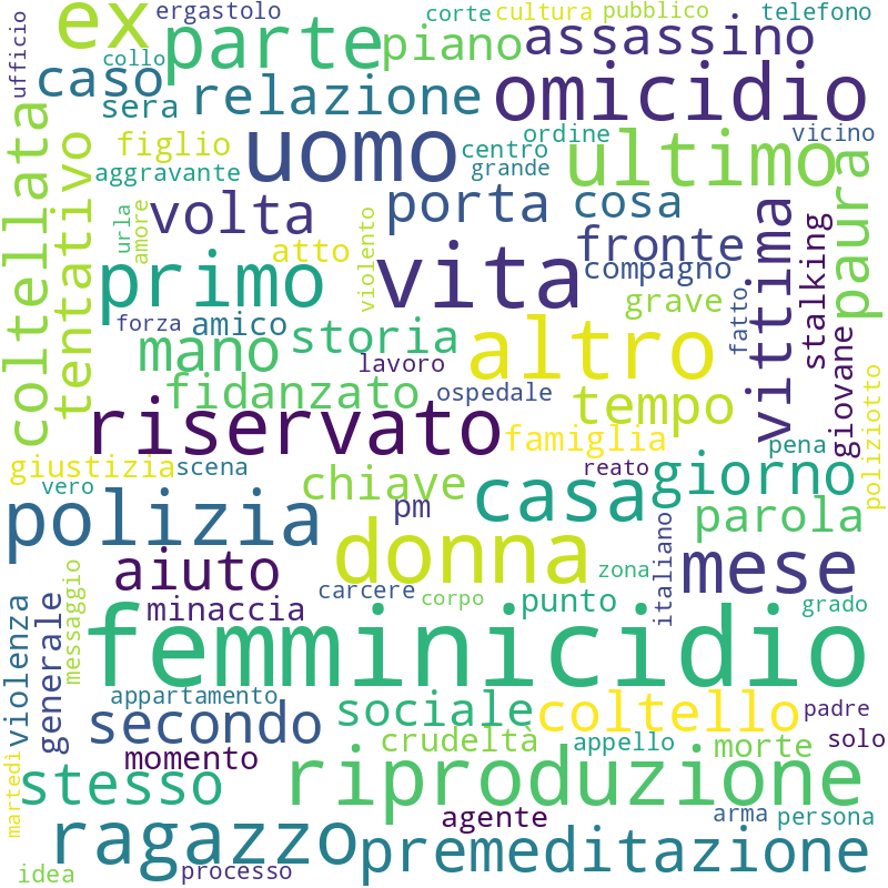 Wordcloud termini stampa nazionale