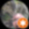 Star rating icon