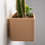 Thumbnail: Side view of the 3d printed wall planter with cactus plant