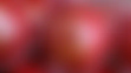 Kookaburra Ball Regulation