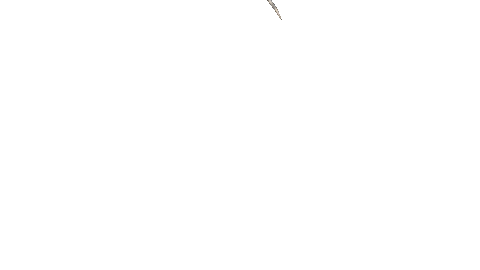 giphy (4).gif