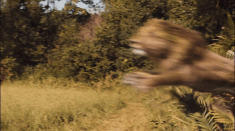 DrogeLeeuw.gif